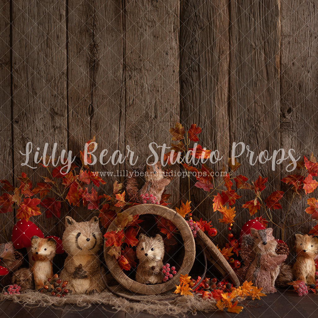 Autumn Burrow - Lilly Bear Studio Props, autumn, autumn colors, autumn colours, autumn fox, autumn leaves, autumn time, fall animals, fall critters, fall leaves, fall pumpkins, fox, raccoon, wood fall