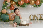 Eucalyptus Pumpkin Garland by Sweet Memories Photos By Carolyn sold by Lilly Bear Studio Props, animal - animals - baby