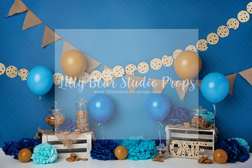 All You Need Are Cookies - Lilly Bear Studio Props, balloons, Boy cake smash, cake smash, cookie monster, seasme street