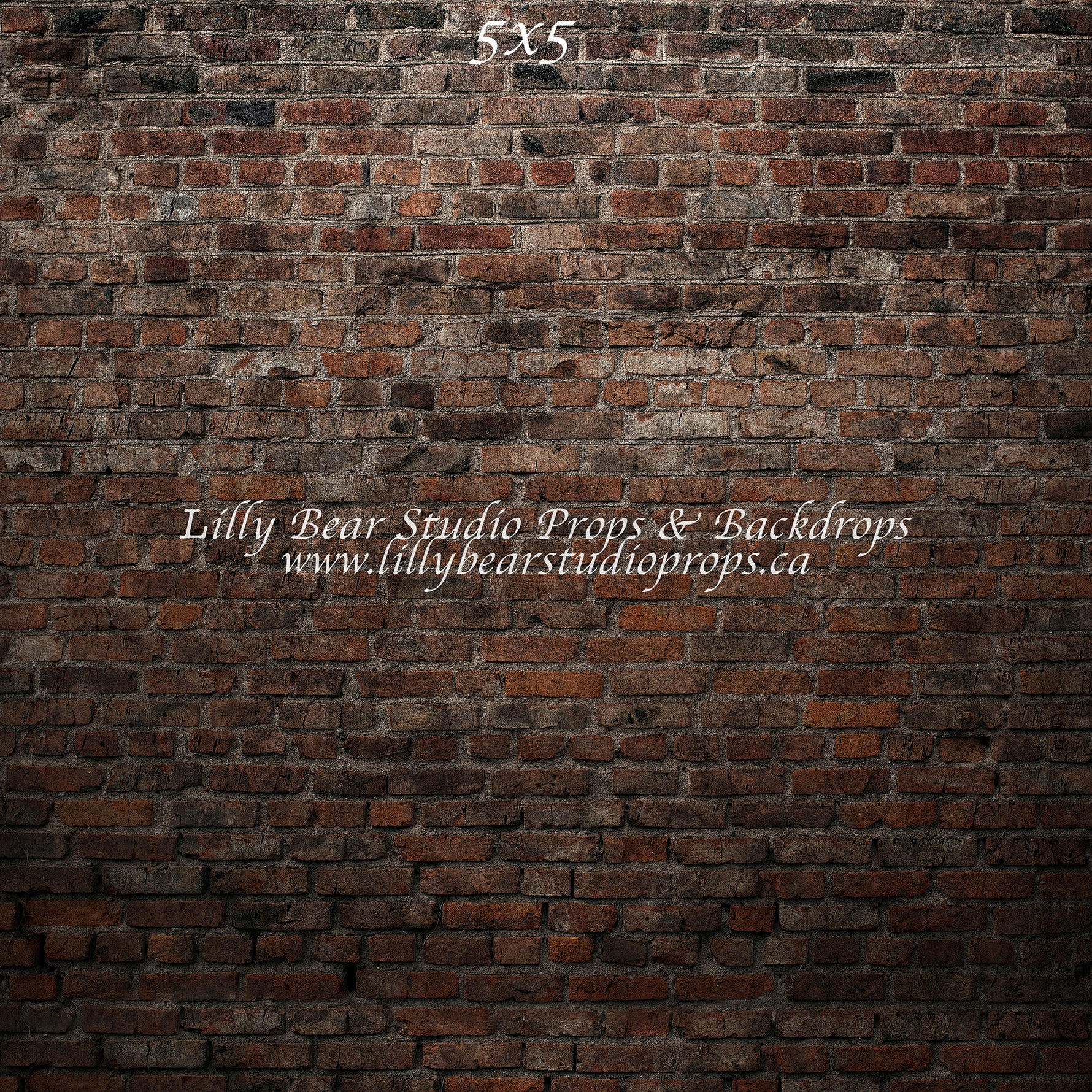 Alleyway Brick Wall by Lilly Bear Studio Props sold by Lilly Bear Studio Props, backdrop - brick - dark brick - fabric