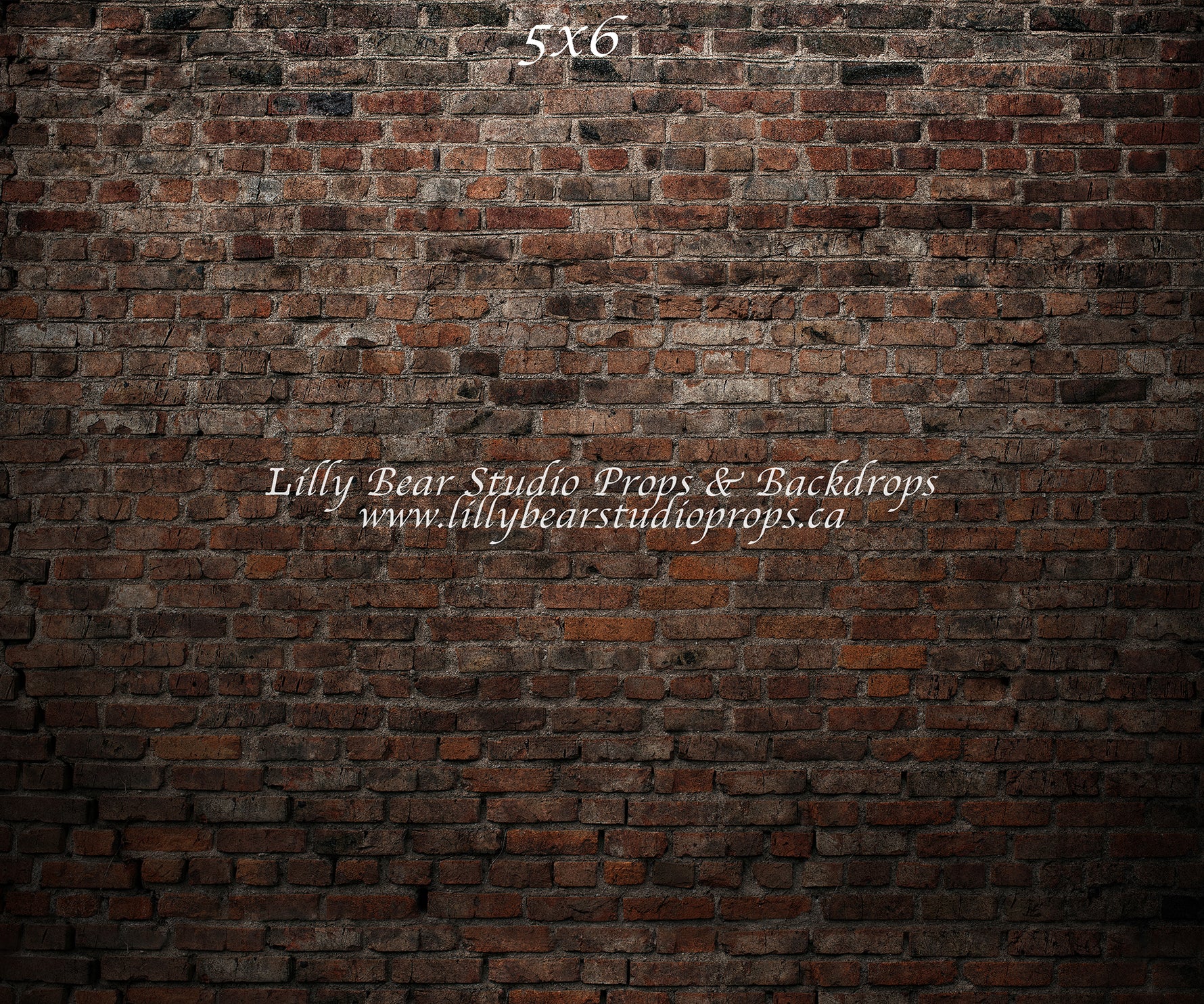 Alleyway Brick Wall by Lilly Bear Studio Props sold by Lilly Bear Studio Props, backdrop - brick - dark brick - fabric