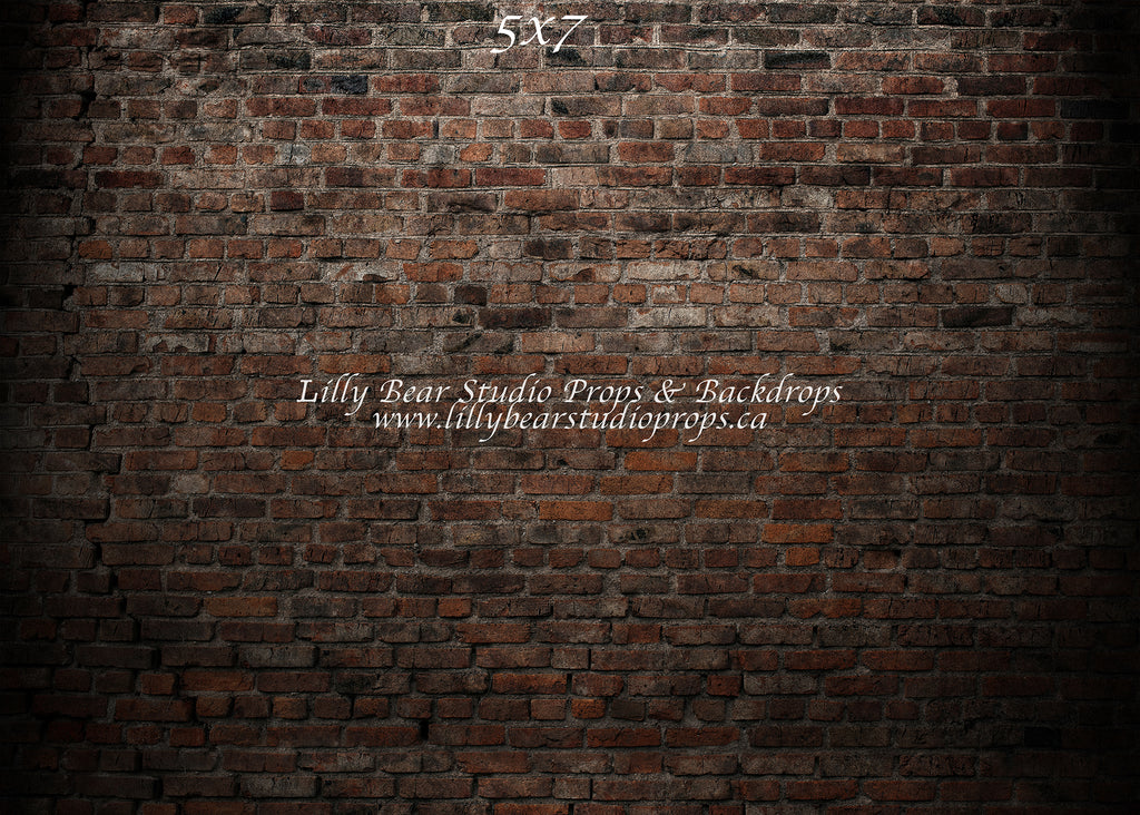 Alleyway Brick Wall by Lilly Bear Studio Props sold by Lilly Bear Studio Props, backdrop - brick - dark brick - fabric