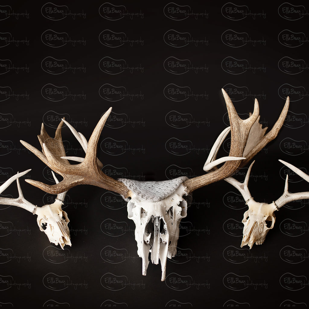 Antlers Digital Backdrop - Lilly Bear Studio Props, antlers, bucket, digital, digital backdrop, newborn digital backdrop, skull, wood