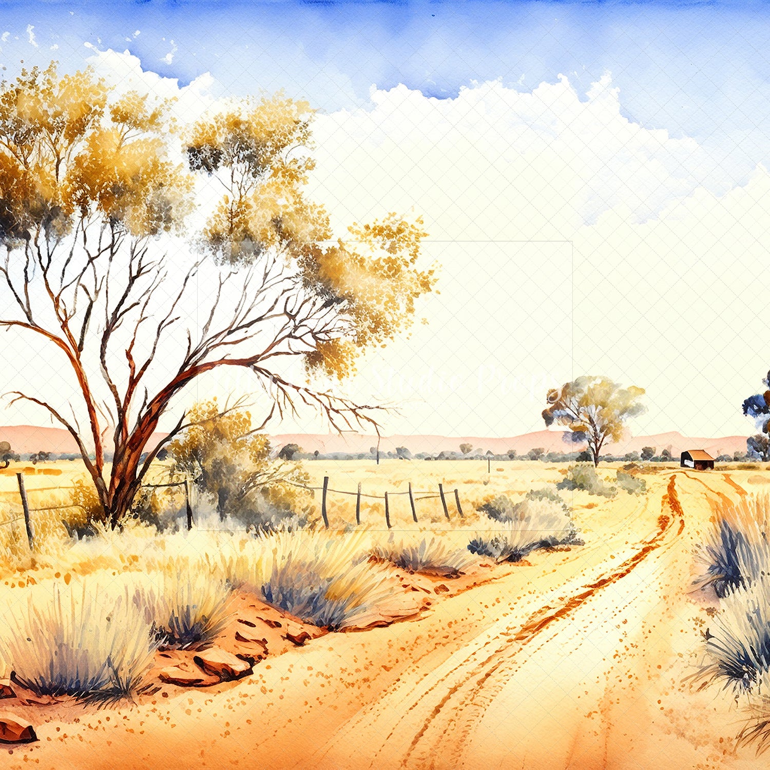 Australian Outback