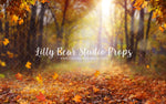 Autumn Forest Path - Lilly Bear Studio Props, autumn, autumn leaves, candles, FABRICS, fall, fall colors, fall colours, fall decor, fall flowers, fall leaves, fall mini, fall season, farm, farm field, little pumpkin