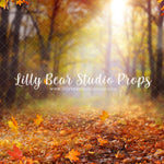 Autumn Forest Path - Lilly Bear Studio Props, autumn, autumn leaves, candles, FABRICS, fall, fall colors, fall colours, fall decor, fall flowers, fall leaves, fall mini, fall season, farm, farm field, little pumpkin