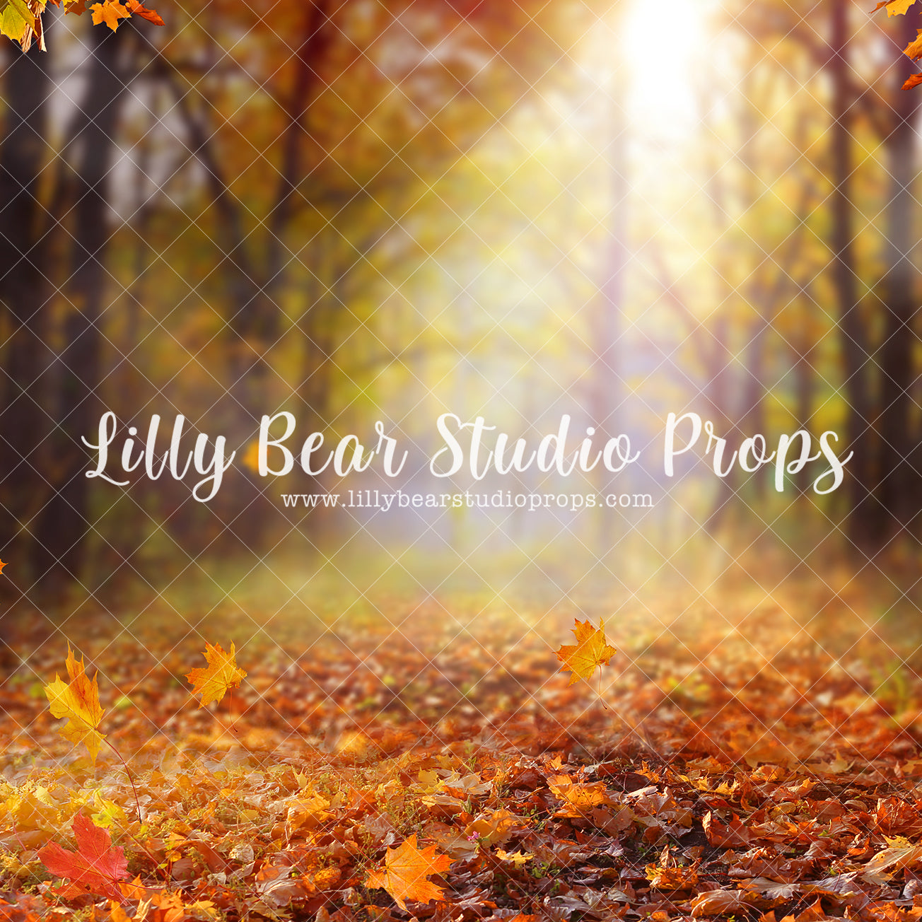 Autumn Forest Path - Lilly Bear Studio Props, autumn, autumn leaves, candles, FABRICS, fall, fall colors, fall colours, fall decor, fall flowers, fall leaves, fall mini, fall season, farm, farm field, little pumpkin