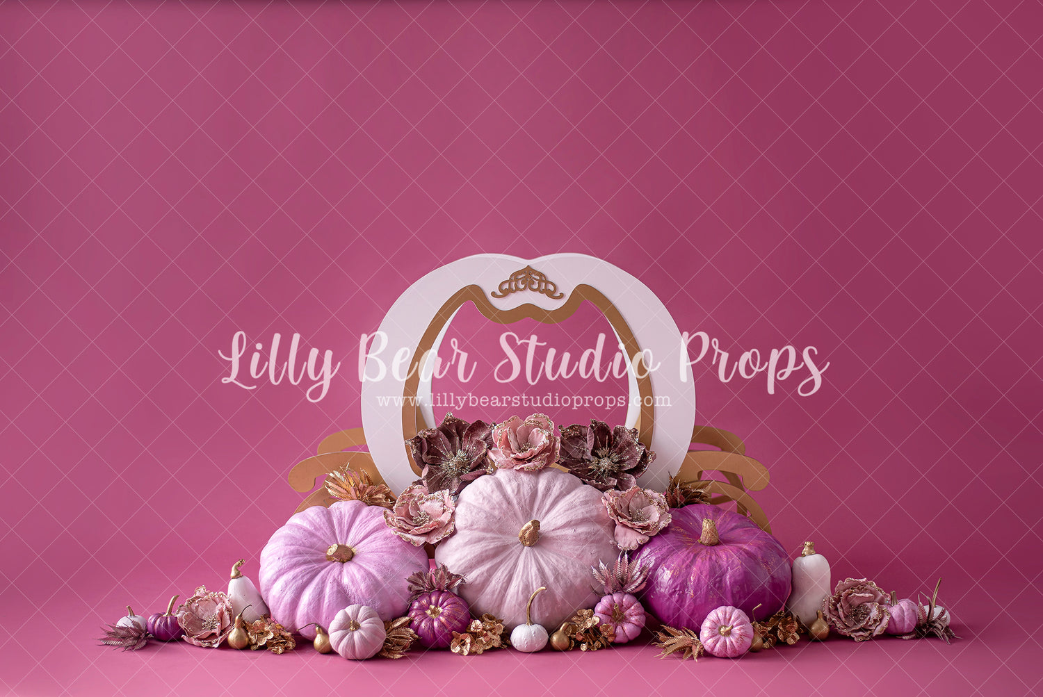Autumn Fuchsia Carriage - Lilly Bear Studio Props, balloon flowers, balloon wall, balloons and flowers, blooming flowers, cake smash, cinderella, cinderella carriage, floral pink, flower garden, flowers, fuchsia, gold balloons, pastel, pink and gold balloons, pink and white, pink and white balloons, pink balloons, pink floral, pink flower, pink flowers, pink white and gold, princess carriage, pumpkin carriage, shades of purple, spring flowers, white balloons