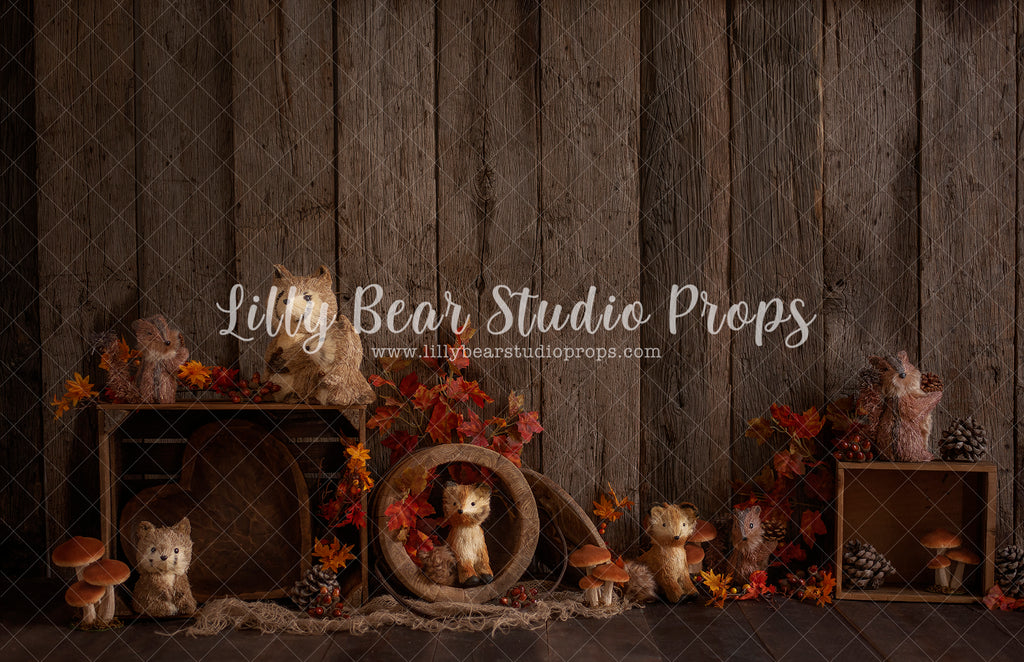 Autumn Little friends - Lilly Bear Studio Props, autumn, autumn colors, autumn colours, autumn fox, autumn leaves, autumn time, fall animals, fall critters, fall leaves, fall pumpkins, fox, raccoon, wood fall