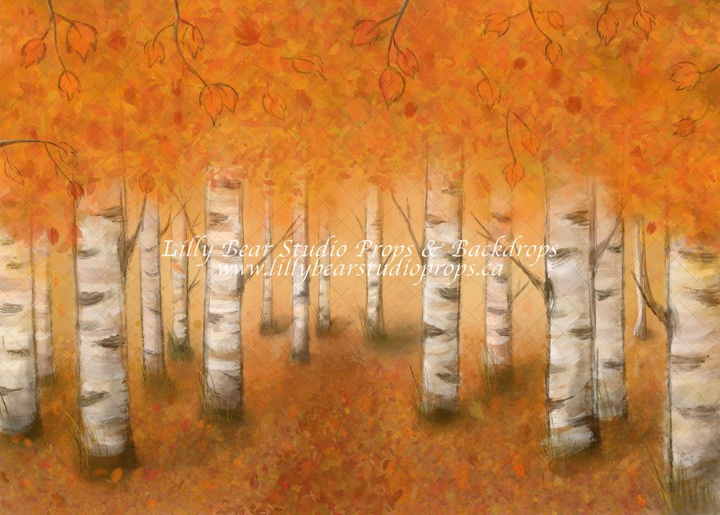 Autumn Woodlands by Jessica Ruth Photography sold by Lilly Bear Studio Props, autumn - boys - cake smash - fabric - fal