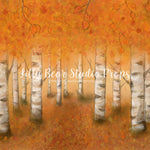Autumn Woodlands by Jessica Ruth Photography sold by Lilly Bear Studio Props, autumn - boys - cake smash - fabric - fal