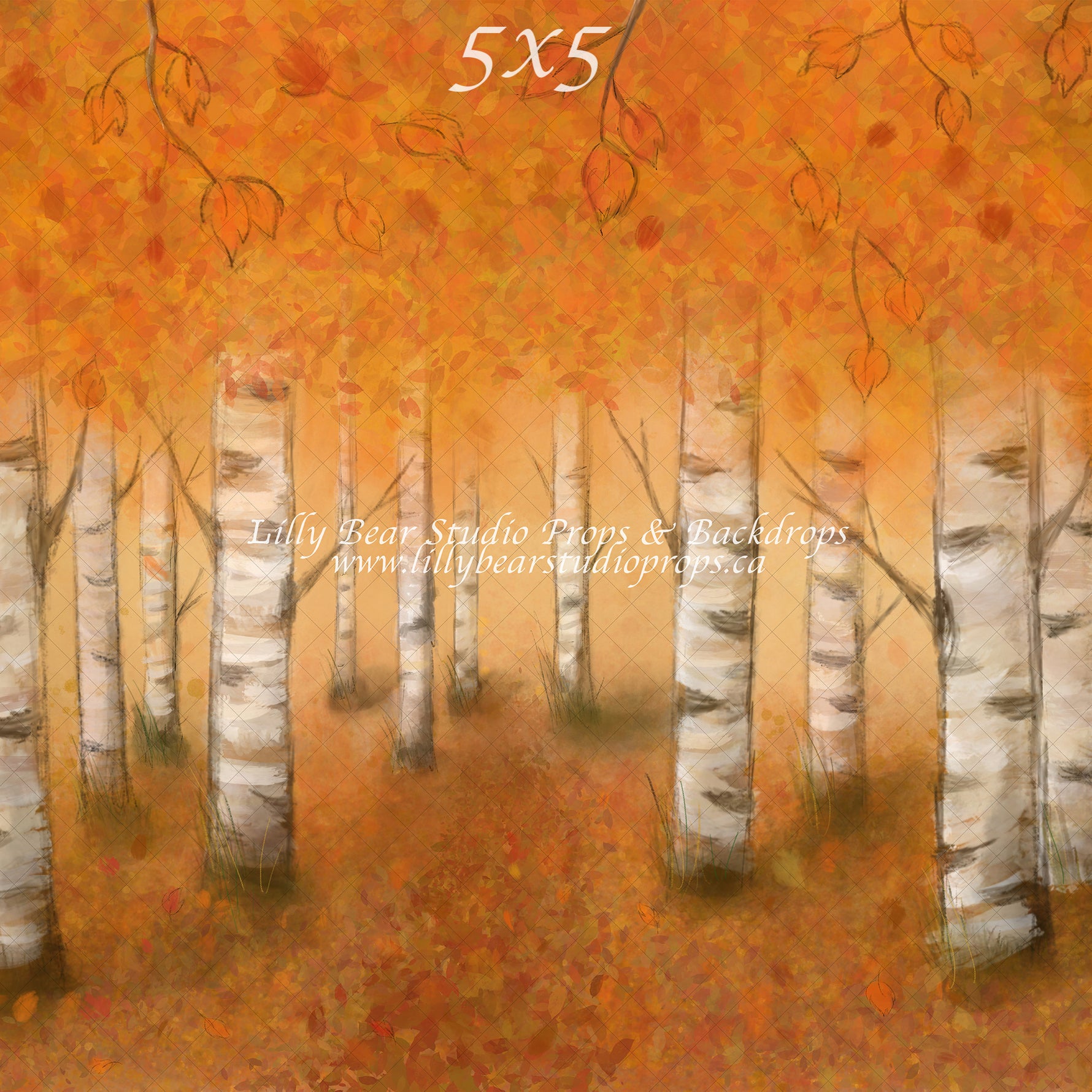 Autumn Woodlands by Jessica Ruth Photography sold by Lilly Bear Studio Props, autumn - boys - cake smash - fabric - fal