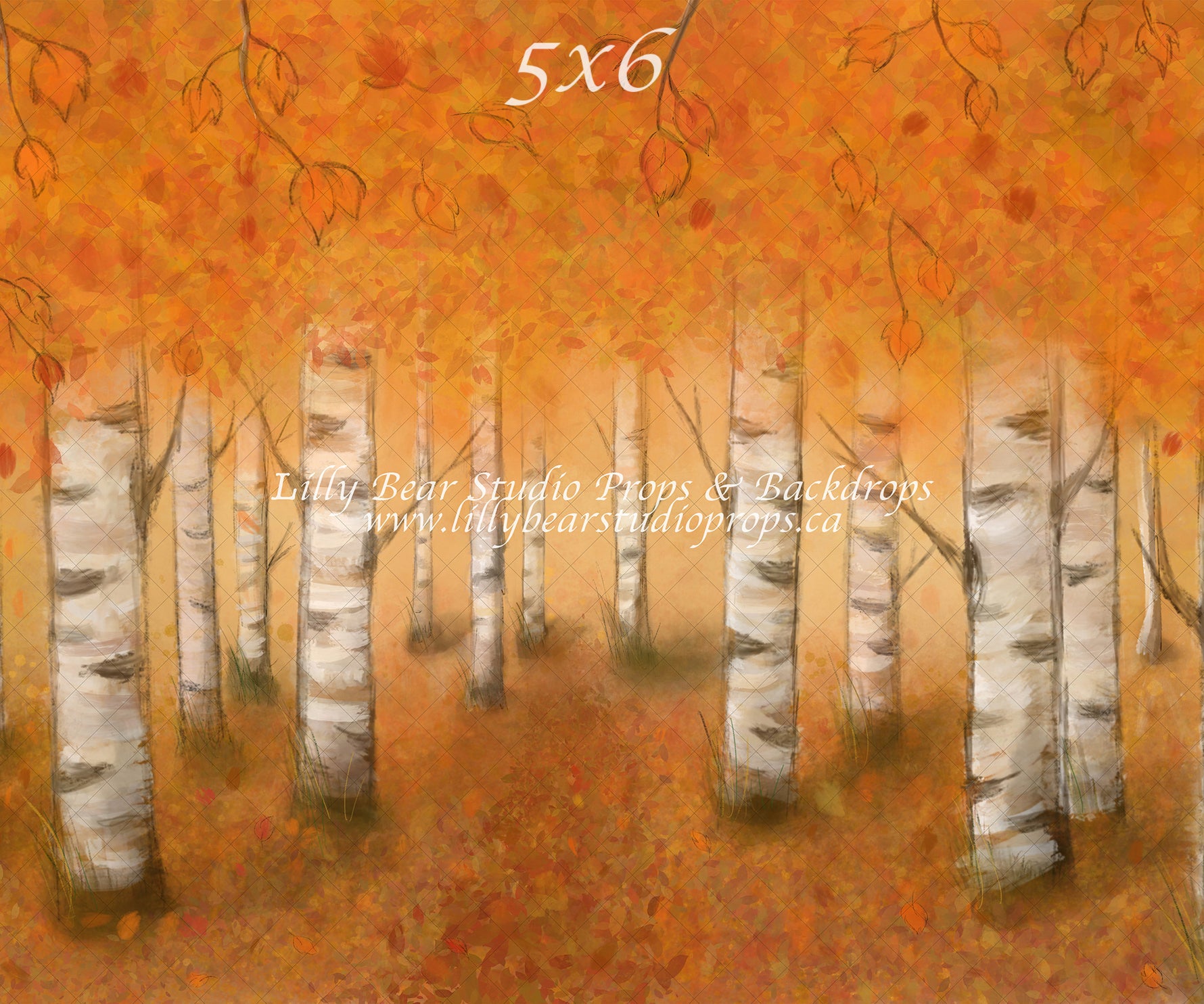 Autumn Woodlands by Jessica Ruth Photography sold by Lilly Bear Studio Props, autumn - boys - cake smash - fabric - fal