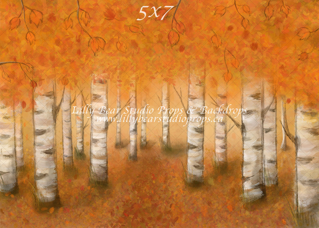 Autumn Woodlands by Jessica Ruth Photography sold by Lilly Bear Studio Props, autumn - boys - cake smash - fabric - fal