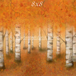 Autumn Woodlands by Jessica Ruth Photography sold by Lilly Bear Studio Props, autumn - boys - cake smash - fabric - fal