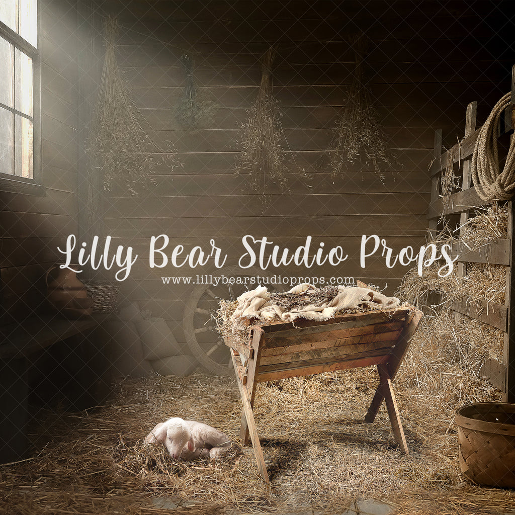 Away In A Manger by Jessica Ruth Photography sold by Lilly Bear Studio Props, barn - barn animals - barn doors - barn w