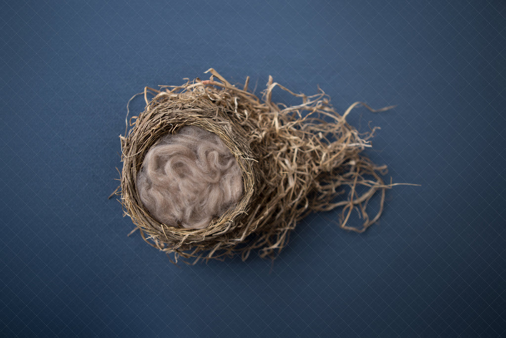 Blue Nest Digital Backdrop - Lilly Bear Studio Props, blue, bowl, digital, nest, newborn digital backdrop
