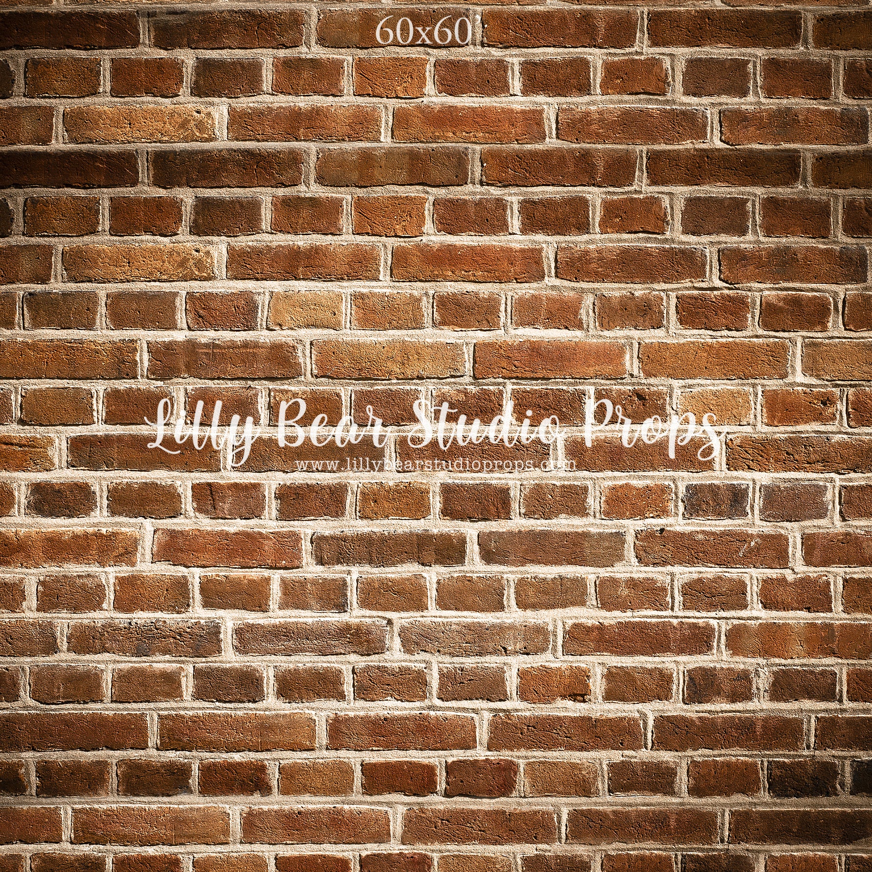 Back Alley Brick Wall by Lilly Bear Studio Props sold by Lilly Bear Studio Props, backdrop - brick - Brick Wall - brown