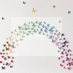Beautiful Butterflies - Lilly Bear Studio Props, butterflies, butterfly, butterfly arch, butterfly colours, butterflyland, rainbow, rainbow butterdlies, rainbow butterflies, rainbow butterfly