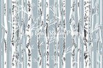 Birch Grove - Lilly Bear Studio Props, birch trees, blue, Fabric, FABRICS, forest, snow, snow forest, trees, white, winter, winter forest, Wrinkle Free Fabric