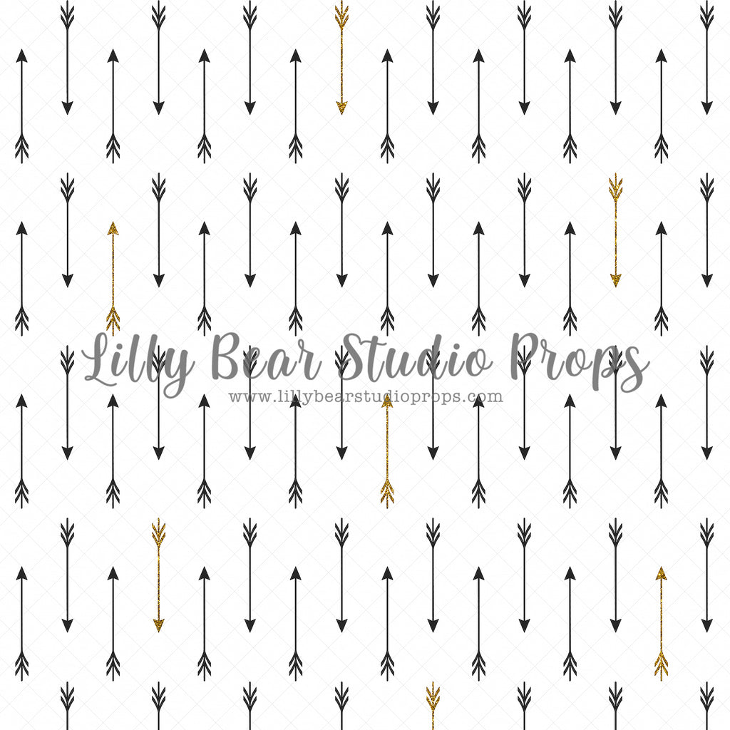 Black Gold Arrows by Jessica Ruth Photography sold by Lilly Bear Studio Props, arrows - boys - cake smash - Fabric - sm