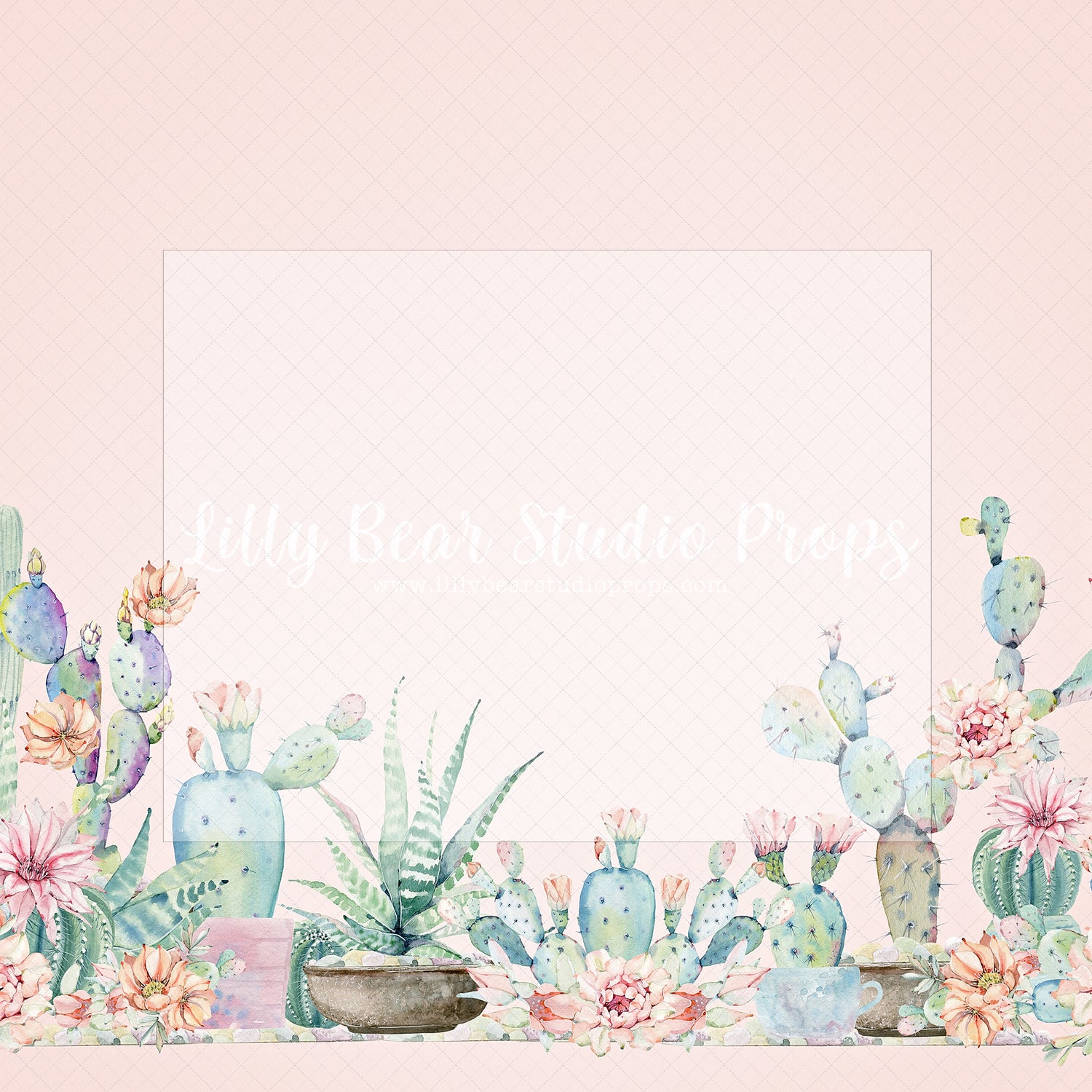 Blooming Cactai - Lilly Bear Studio Props, bloom, blooming cactai, blooming flowers, blooms, cactai, cactus, desert, desert cactus, pink cactus, spring blooms, succulent, watercolour cactus