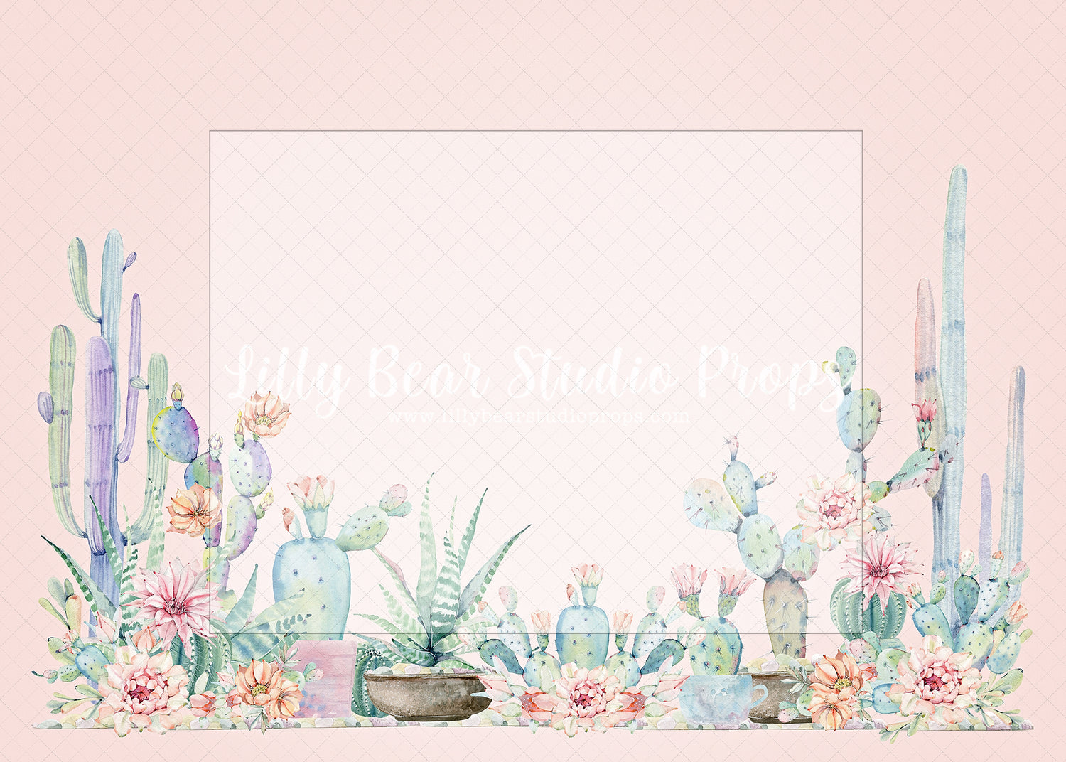 Blooming Cactai - Lilly Bear Studio Props, bloom, blooming cactai, blooming flowers, blooms, cactai, cactus, desert, desert cactus, pink cactus, spring blooms, succulent, watercolour cactus