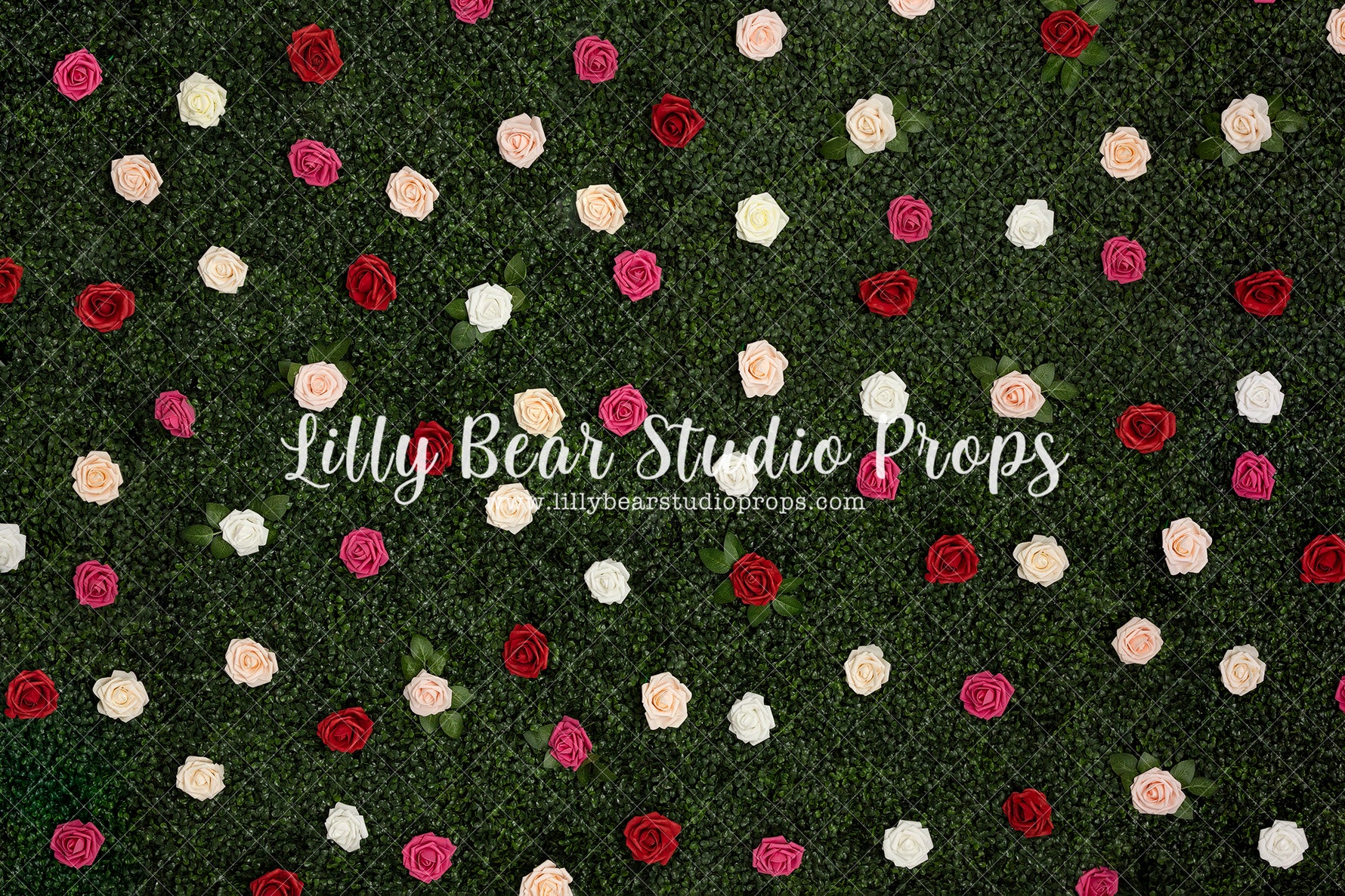 Blooming Rose Wall - Lilly Bear Studio Props, boxwood, boxwood wall, bush, Fabric, FABRICS, floral, flowers, garden, grass, green wall, greenery, pink rose, pink roses, red rose, red roses, rose, roses, spring, valentine, valentines, valentines day, white roses, Wrinkle Free Fabric