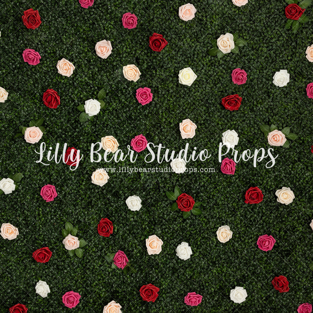 Blooming Rose Wall - Lilly Bear Studio Props, boxwood, boxwood wall, bush, Fabric, FABRICS, floral, flowers, garden, grass, green wall, greenery, pink rose, pink roses, red rose, red roses, rose, roses, spring, valentine, valentines, valentines day, white roses, Wrinkle Free Fabric
