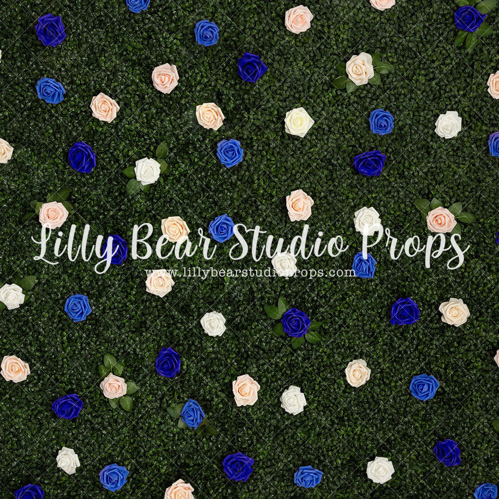 Blue Rose Wall - Lilly Bear Studio Props, blue roses, boxwood, boxwood wall, bush, Fabric, FABRICS, floral, flowers, garden, grass, green wall, greenery, pink rose, pink roses, red rose, red roses, rose, roses, spring, valentine, valentines, valentines day, white roses, Wrinkle Free Fabric