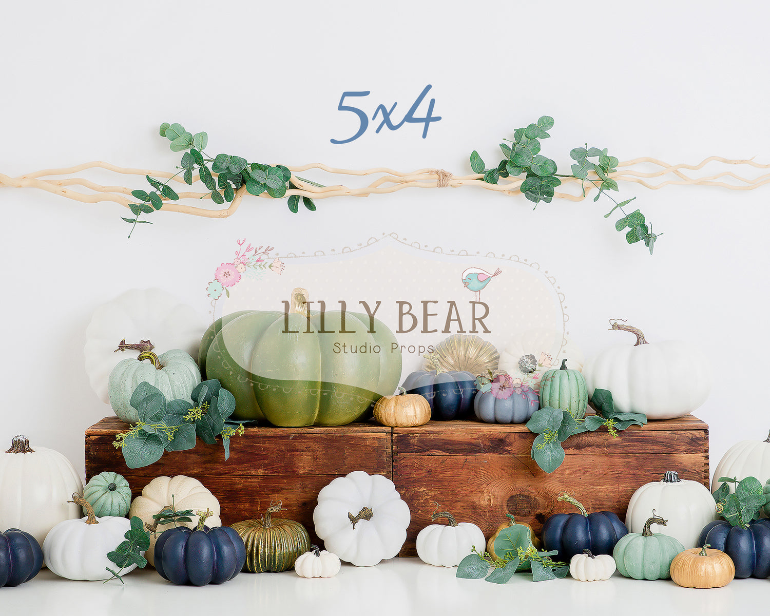 Harvest Pumpkin Patch by Lilly Bear Studio Props sold by Lilly Bear Studio Props, blue pumpkins - boy - boy pumpkin - F