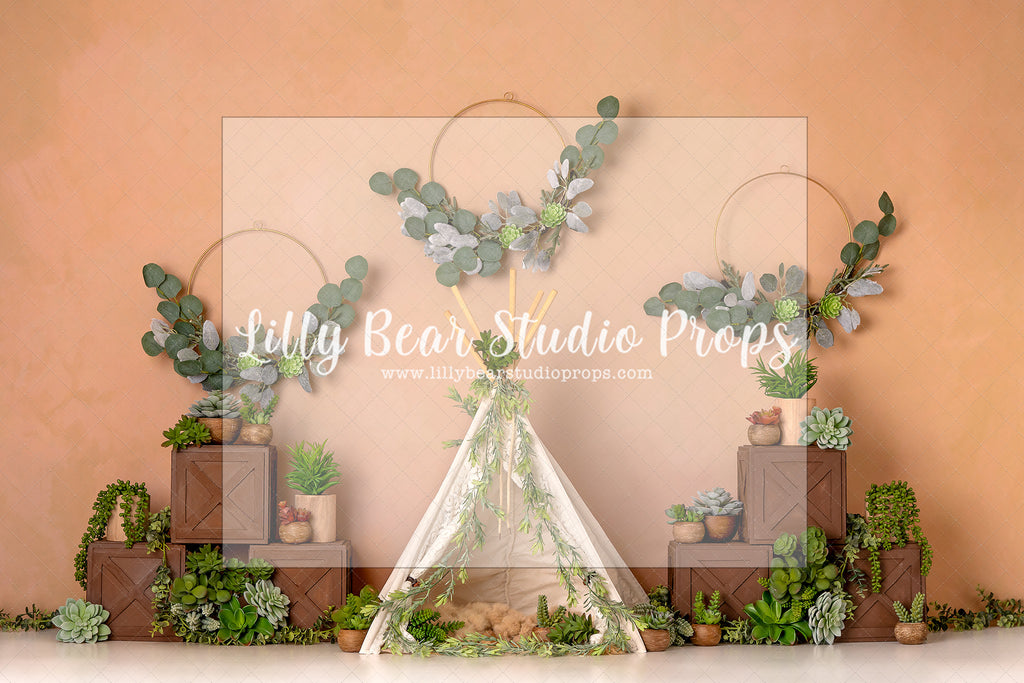 Boho Succulent Dreams - Lilly Bear Studio Props, boho, boho tent, cactus, desert cactus, eucalyptus, eucalyptus rings, floral rings, rustic tent, succulent, tent