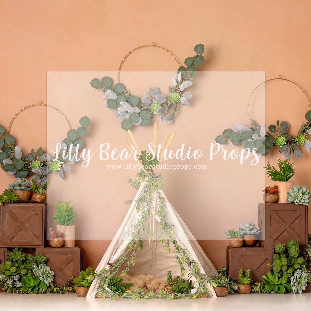Boho Succulent Dreams - Lilly Bear Studio Props, boho, boho tent, cactus, desert cactus, eucalyptus, eucalyptus rings, floral rings, rustic tent, succulent, tent