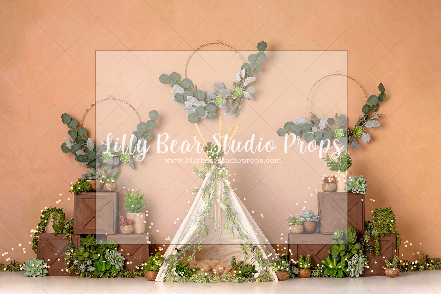 Boho Succulent Dreams In Lights - Lilly Bear Studio Props, boho, boho tent, cactus, desert cactus, eucalyptus, eucalyptus rings, floral rings, rustic tent, succulent, tent