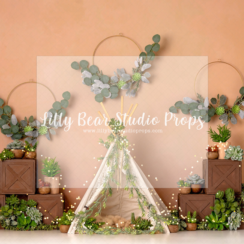 Boho Succulent Dreams In Lights - Lilly Bear Studio Props, boho, boho tent, cactus, desert cactus, eucalyptus, eucalyptus rings, floral rings, rustic tent, succulent, tent