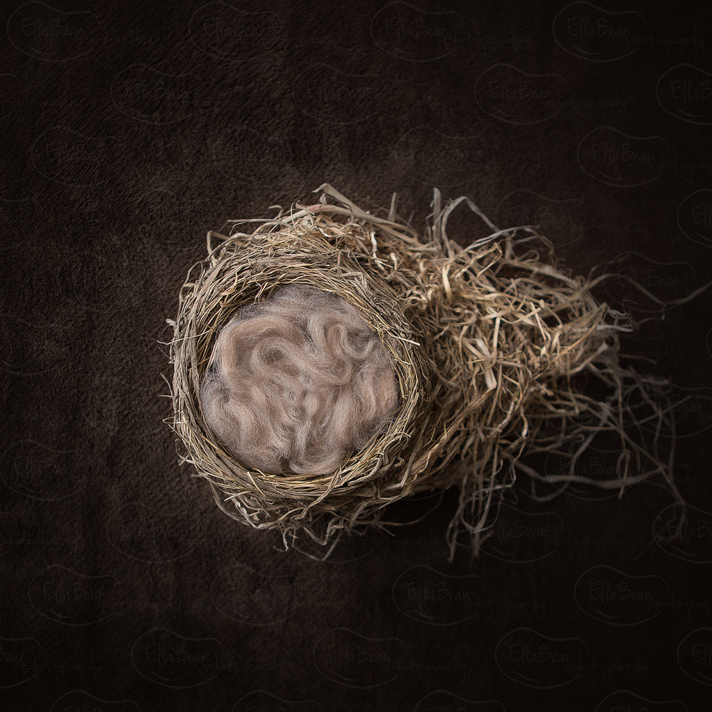 Brown Nest Digital Backdrop - Lilly Bear Studio Props, bowl, brown, digital, nest, newborn digital backdrop