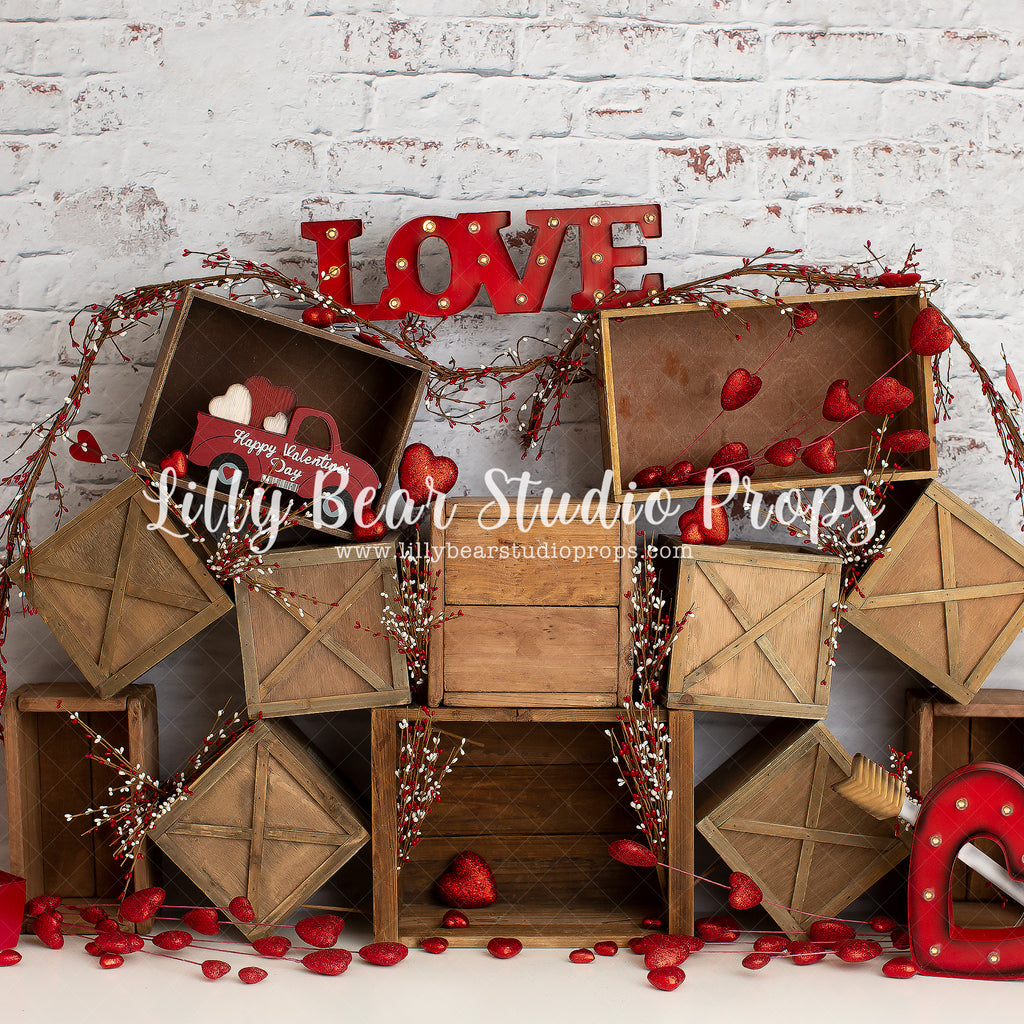 Building Blocks Of Love by Anything Goes Photography sold by Lilly Bear Studio Props, boy - Fabric - FABRICS - girl - h