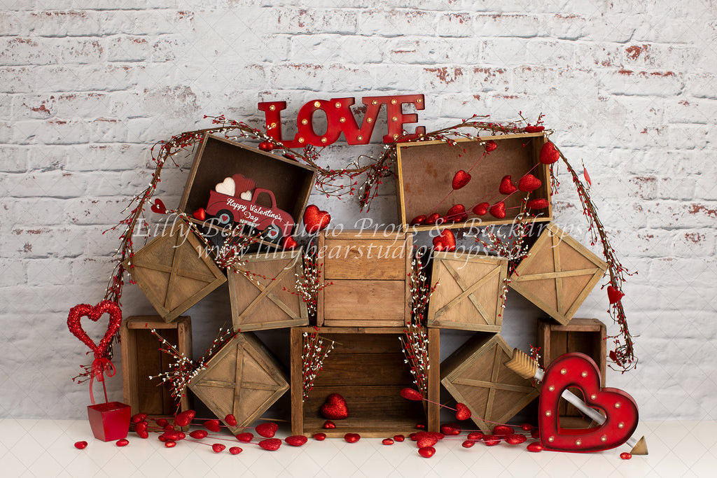 Building Blocks Of Love by Anything Goes Photography sold by Lilly Bear Studio Props, boy - Fabric - FABRICS - girl - h