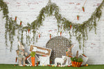 Bunny Trail by Anything Goes Photography sold by Lilly Bear Studio Props, boy - bunny - carrot - easter - Fabric - FABR