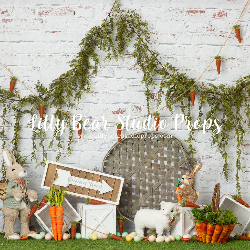 Bunny Trail by Anything Goes Photography sold by Lilly Bear Studio Props, boy - bunny - carrot - easter - Fabric - FABR