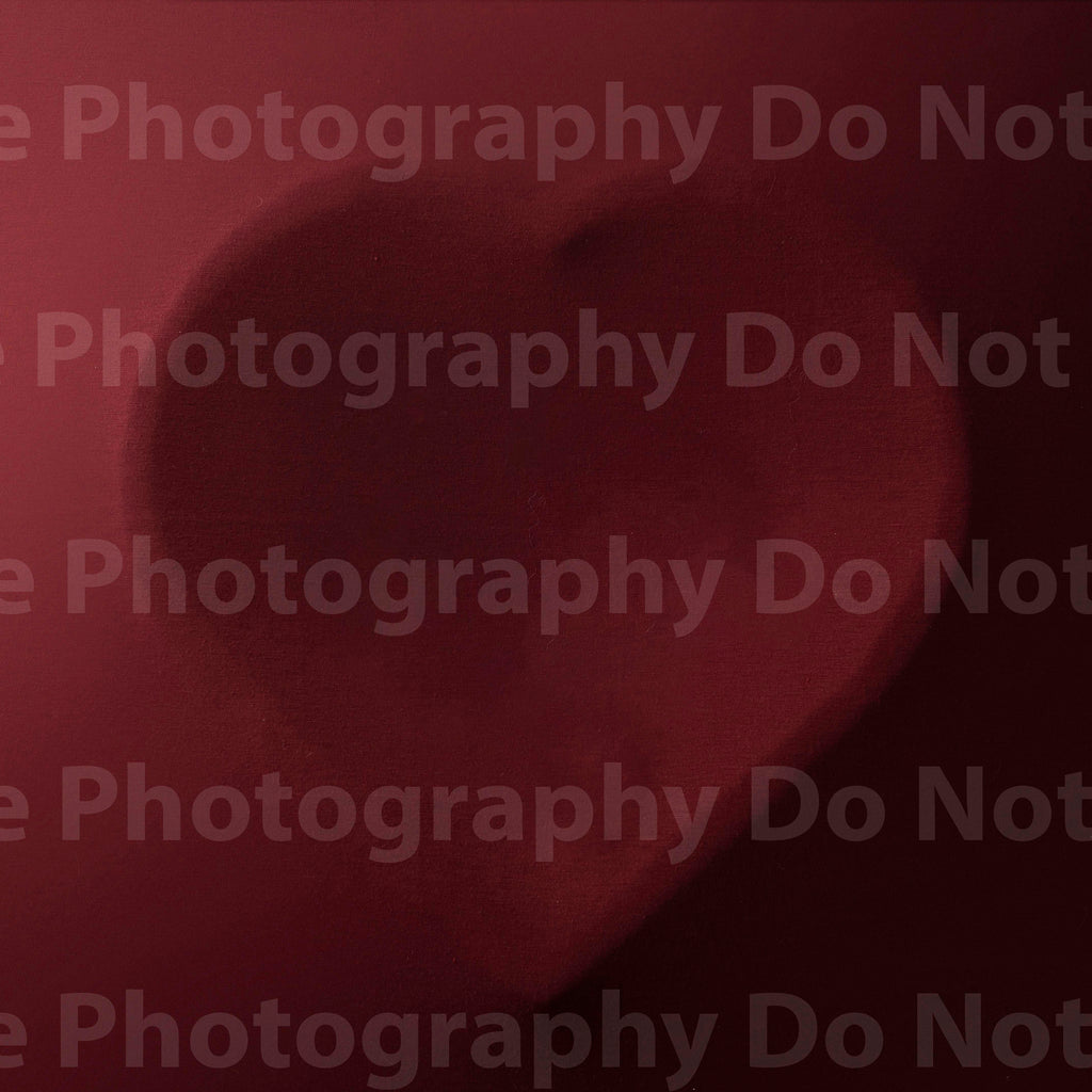 Burgundy Fabric Heart Digital Backdrop - Lilly Bear Studio Props, 
