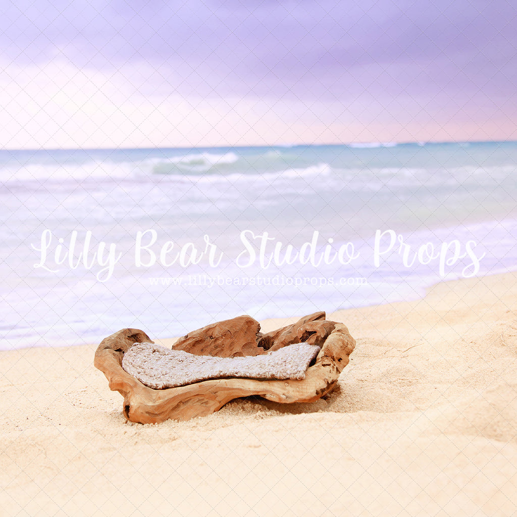 By the Sea Shore Digital Backdrop - Lilly Bear Studio Props, beach newborn, digital backdrop, newborn by the sea, newborn digital backdrop, ocean