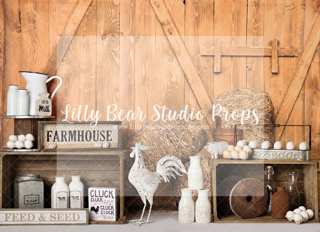 Cluck Cluck Farm - Lilly Bear Studio Props, barn door, barn doors, boho spring, FABRICS, farm, floral arch, floral garland, spring, spring barn, spring barn doors