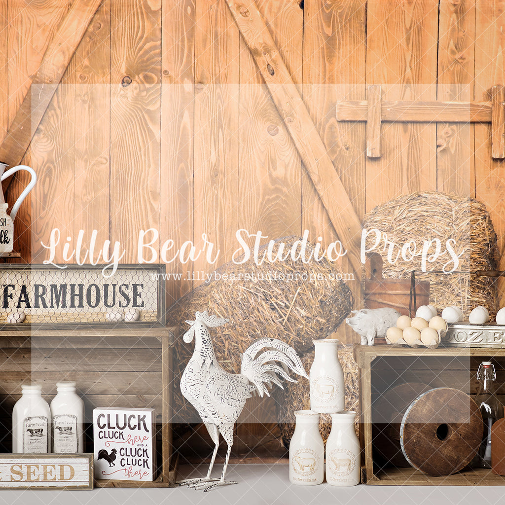 Cluck Cluck Farm - Lilly Bear Studio Props, barn door, barn doors, boho spring, FABRICS, farm, floral arch, floral garland, spring, spring barn, spring barn doors