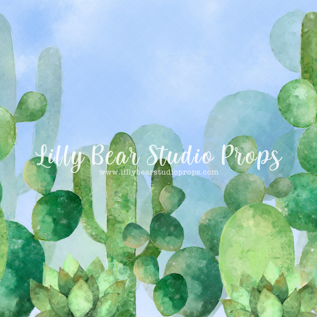 Cactus Garden by Jessica Ruth Photography sold by Lilly Bear Studio Props, cactus - desert cactus - dessert - dessert i