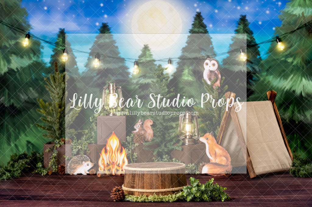 Camping Woodland Critters - Digital Backdrop - Lilly Bear Studio Props, bowl, clouds, digital, newborn digital backdrop, pastel, rainbow, rainbow baby, round