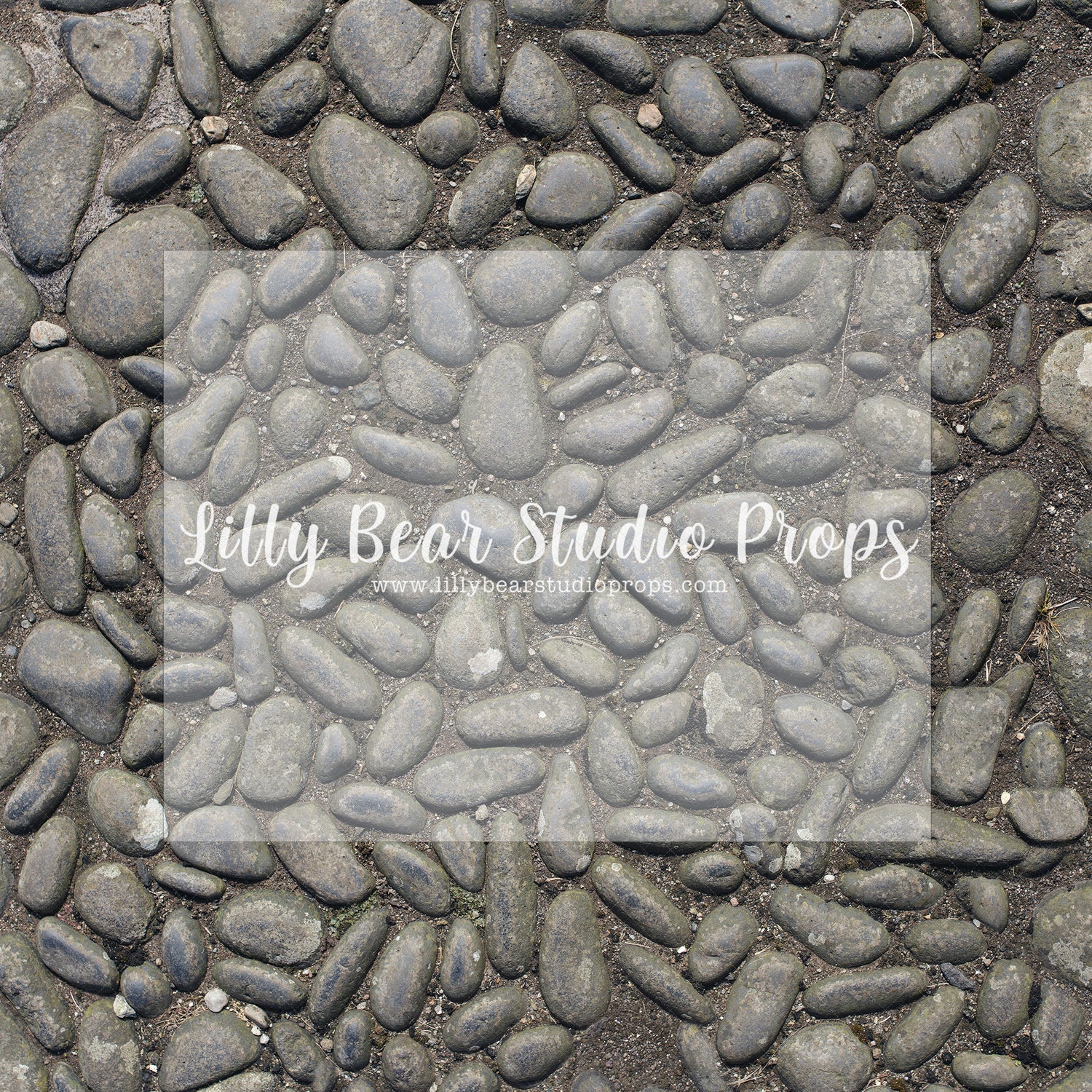 Century Cobblestone - Lilly Bear Studio Props, century, century cobblestone, cobblestone, cobblestone floor, old cobblestone, stones, texture cobblestone