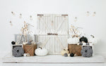 Checkered Fall by Karissa Knowles Photography sold by Lilly Bear Studio Props, autumn - autumn colors - autumn colours