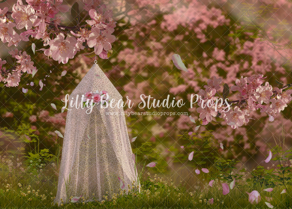 Cherry Blossom Time - Lilly Bear Studio Props, cherry, cherry blossoms, Fabric, FABRICS, flowers, lace tent, pink cherry blossoms, pink flowers, spring blooms, teepee