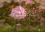Cherry Blossom Hot Air Balloon - Lilly Bear Studio Props, cherry, cherry blossoms, Fabric, FABRICS, flowers, hot air balloon, hot air balloons, lace tent, newborn hot air balloon, pink balloons, pink cherry blossoms, pink flowers, spring blooms